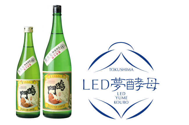 LED夢酵母