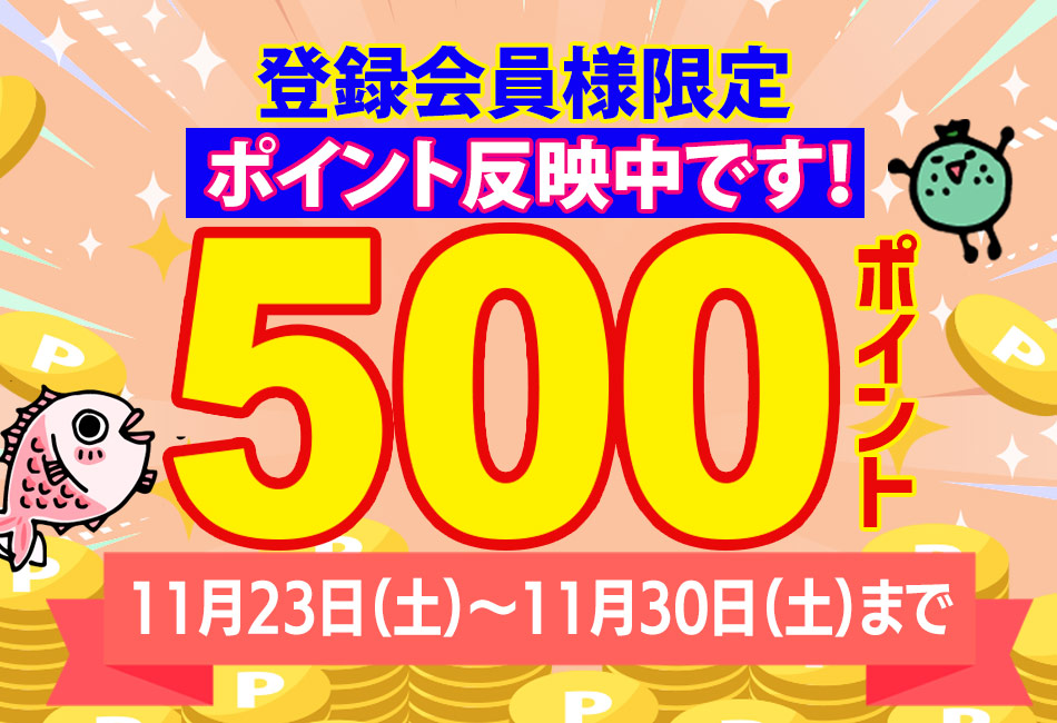 500ポイントプレゼント