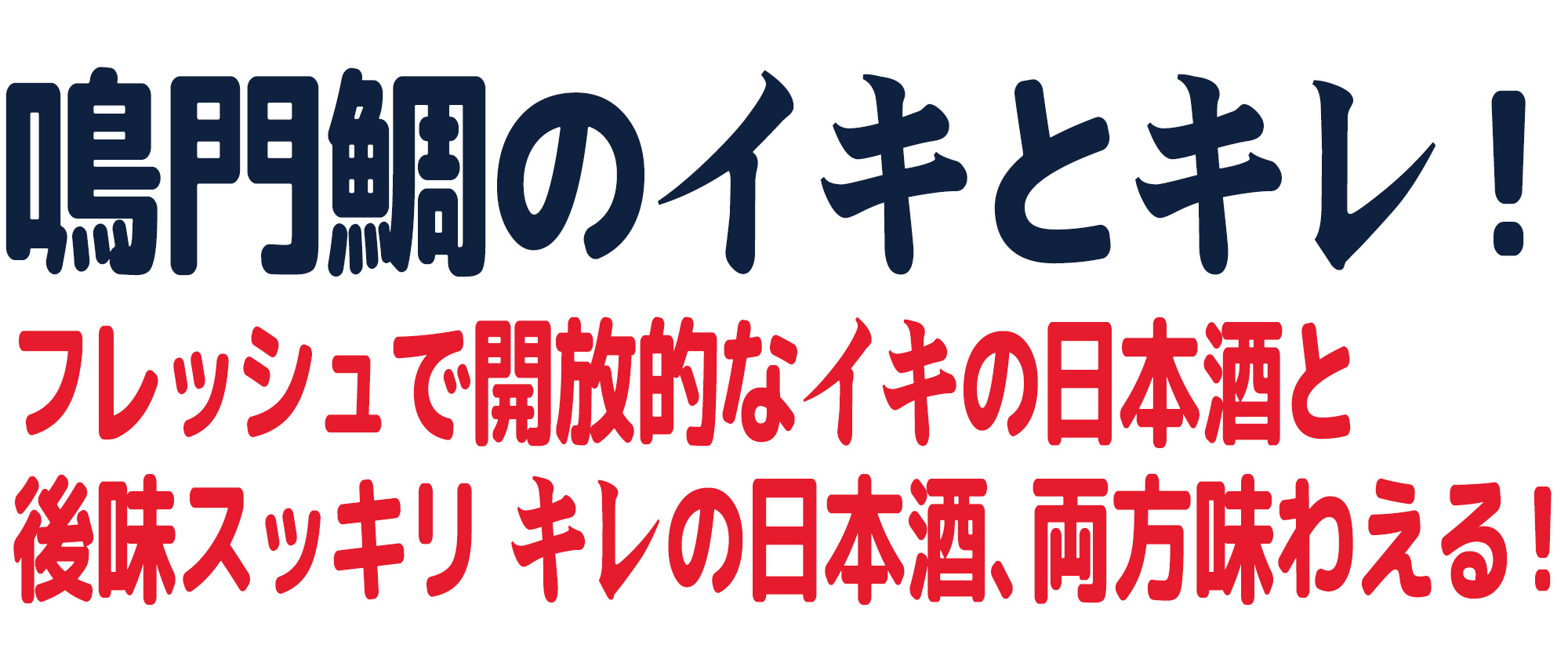 鳴門鯛のイキとキレを味わう定期便（12回コース）